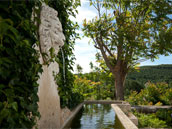 Agrandir la photo