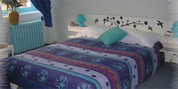 Agrandir la photo