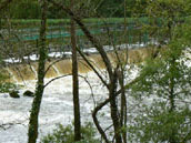 Agrandir la photo