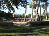 Agrandir la photo