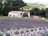 Agrandir la photo
