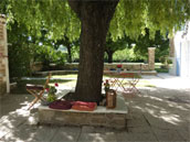 Agrandir la photo