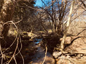 Agrandir la photo