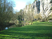 Domaine des Hallais