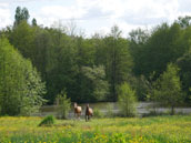 Le Haut Aulnay