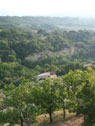 Villa Gecko